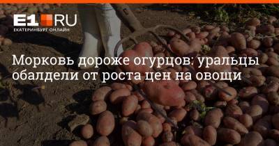 Морковь дороже огурцов: уральцы обалдели от роста цен на овощи
