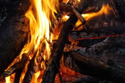 В Марий Эл сохраняется опасность лесных пожаров