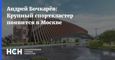 Андрей Бочкарёв: Крупный спорткластер появится в Москве