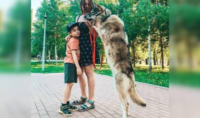 Семья не стая: уфимка рассказала, каково содержать и воспитывать волчицу в квартире