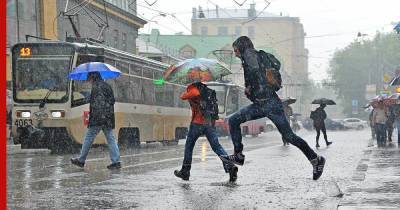 Экстренное предупреждение из-за дождя, грозы и ветра объявили в Москве