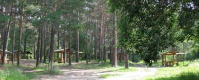 В Новосибирской области в 2021 году благоустроят 185 дворов и парков