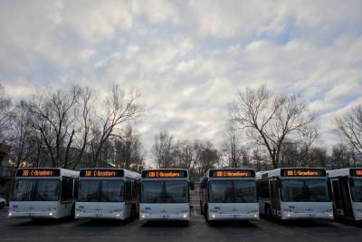 Автобусы снова начнут возить петербуржцев в Финляндию