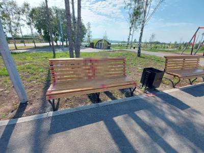 В Магнитогорске два юных вандала разрисовали скамейки и фигуры в парке