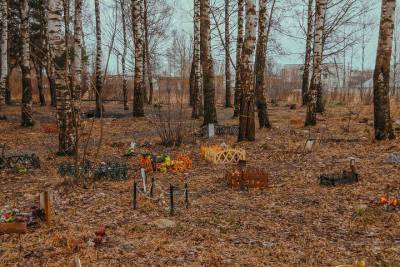 Жителям Тверской области напомнили о запрете на похороны животных