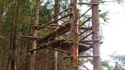 Тарзан уже не тот: мужчину поймали на дереве в Амурской области
