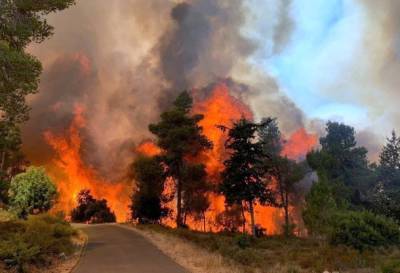 Страшный лесной пожар в пригороде Иерусалима, огонь идет к жилым домам