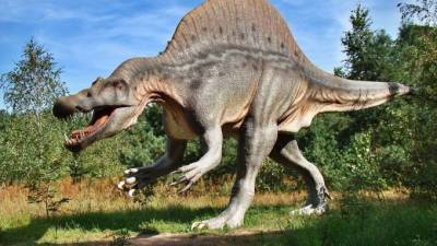Австралийские ученые определили самый крупный вид динозавров