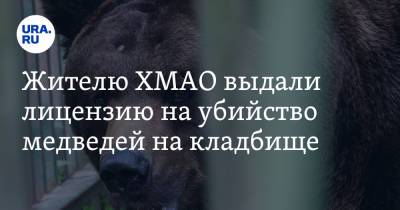 Жителю ХМАО выдали лицензию на убийство медведей на кладбище. Видео