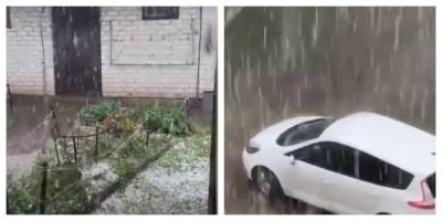 "Ледяной дождь" обрушился на Украину, некоторые города остались без света: видео