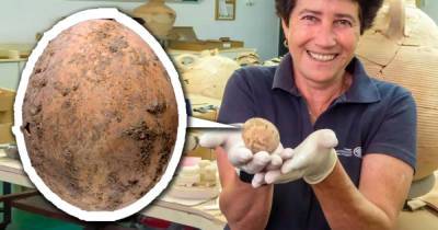 В Израиле нашли тысячелетнее куриное яйцо и древних кукол