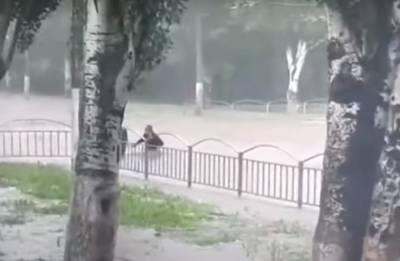 "Такого бедствия не было 30 лет": украинский город ушел под воду, кадры последствий ливня