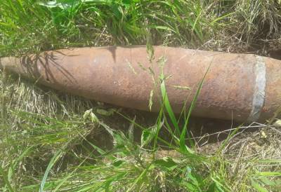 Неразорвавшийся снаряд нашли в деревне Тверской области