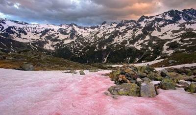 Кровавые слезы ледников: почему снег в горах становится красным