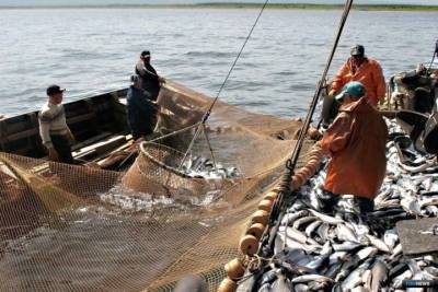 У заполярных прибрежников есть шанс получить разрешение на первичную обработку рыбы на судах