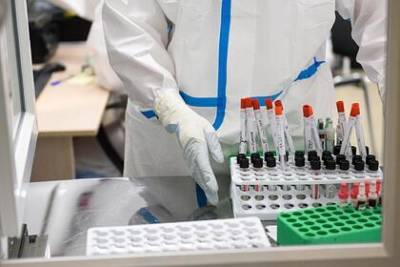 Власти опровергли появление якутского штамма коронавируса