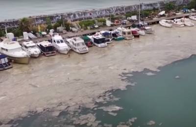 В Турции начали масштабную операцию по очистке Мраморного моря от слизи