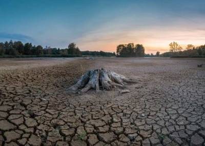 Ученые: Засуха заставила людей создавать города-государства