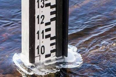 Уровень воды в реках Кубани не превысил критических отметок