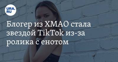 Блогер из ХМАО стала звездой TikTok из-за ролика с енотом. Видео