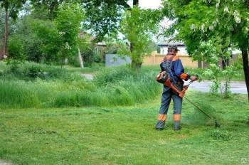 Городские власти недовольны подрядчиком, который взялся косить траву в Вологде