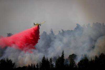 Более 70 пожарных расчетов сражаются с пожарами по всему Израилю