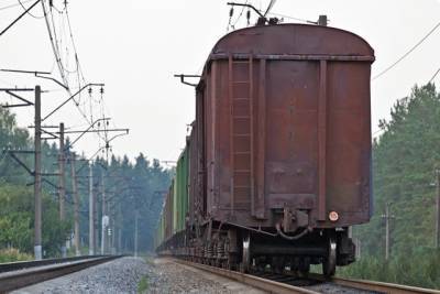Главарь «ДНР» анонсировал поезда в Крым и Москву