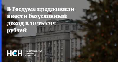 В Госдуме предложили ввести безусловный доход в 10 тысяч рублей