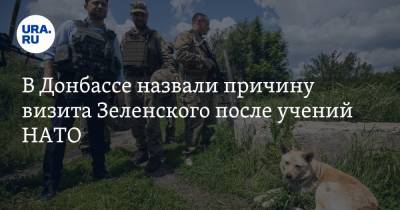 В Донбассе назвали причину визита Зеленского после учений НАТО