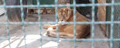 Прокуратура Севастополя через суд добилась закрытия зоопарка