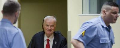 В МИД России назвали лицемерным приговор Ратко Младичу