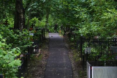 Двое мужчин украли часть кладбищенской ограды на 500 тысяч рублей