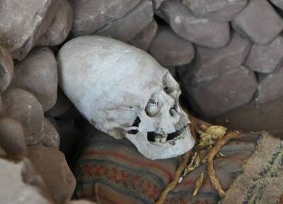 Анализ ДНК показал, что удлиненные черепа из Перу - не человеческие