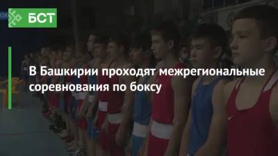 В Башкирии проходят межрегиональные соревнования по боксу