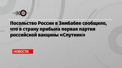 Посольство России в Зимбабве сообщило, что в страну прибыла первая партия российской вакцины «Спутник»