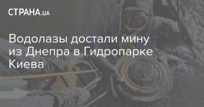 Водолазы достали мину из Днепра в Гидропарке Киева