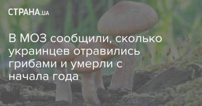 В МОЗ сообщили, сколько украинцев отравились грибами и умерли с начала года