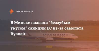 В Минске назвали "беззубым укусом" санкции ЕС из-за самолета Ryanair