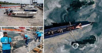 Море в Турции заполонили морские сопли: власти забили тревогу. Видео