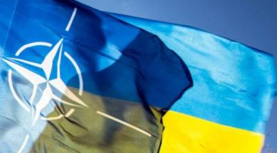 Блинкен оценил возможность вступления Украины в НАТО
