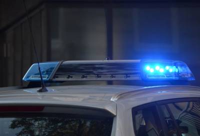 Полиция обнаружила наркоплантацию в Выборгском районе Ленобласти