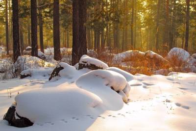 Ученый допустил исчезновение снежных зим в России