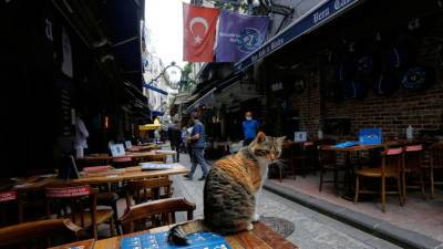 В Турции полностью отменили комендантский час по коронавирусу