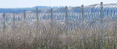 Забор из колючей проволоки и камеры: на Луганщине оснастили границу с Россией (фото)