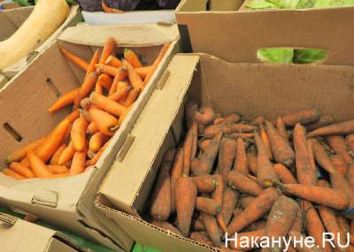 Росстат: морковь за неделю подорожала на 7,7%