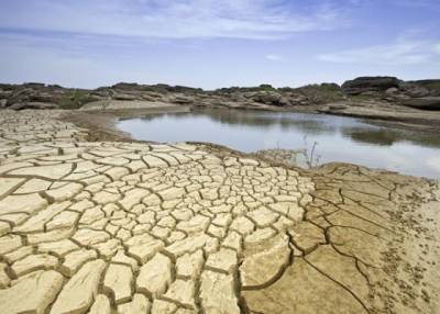 Эколог: Нормализация климата на планете займет десятки или сотни лет