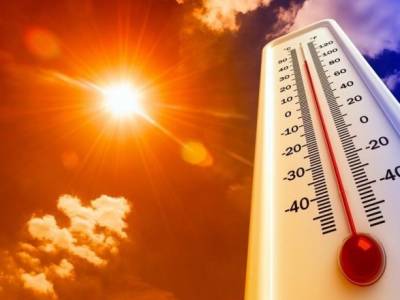 Власти штата Орегон сообщили о более 60 жертв из-за аномальной жары