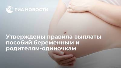 Премьер-министр Мишустин утвердил правила выплаты пособий беременным и родителям-одиночкам