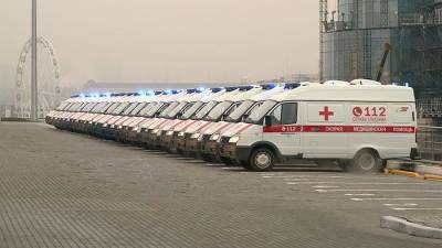 Свыше 230 машин неотложки поступят в больницы Подмосковья
