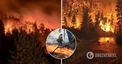 Лесные пожары в Якутии - фото, видео, что известно